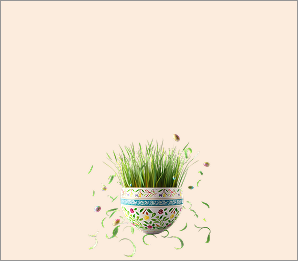 nowruz